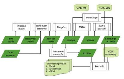 研究人员开发了用于病毒发现的序列分析管道
