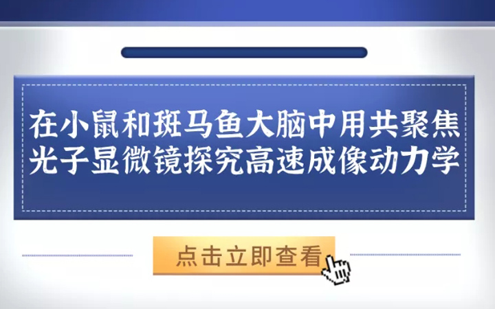 环特生物 | 国际研究 | 在斑马鱼和小鼠大脑中用共聚焦光子显微镜探究高速成像动力学
