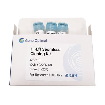 Hi-Eff Seamless Cloning Kit 20T