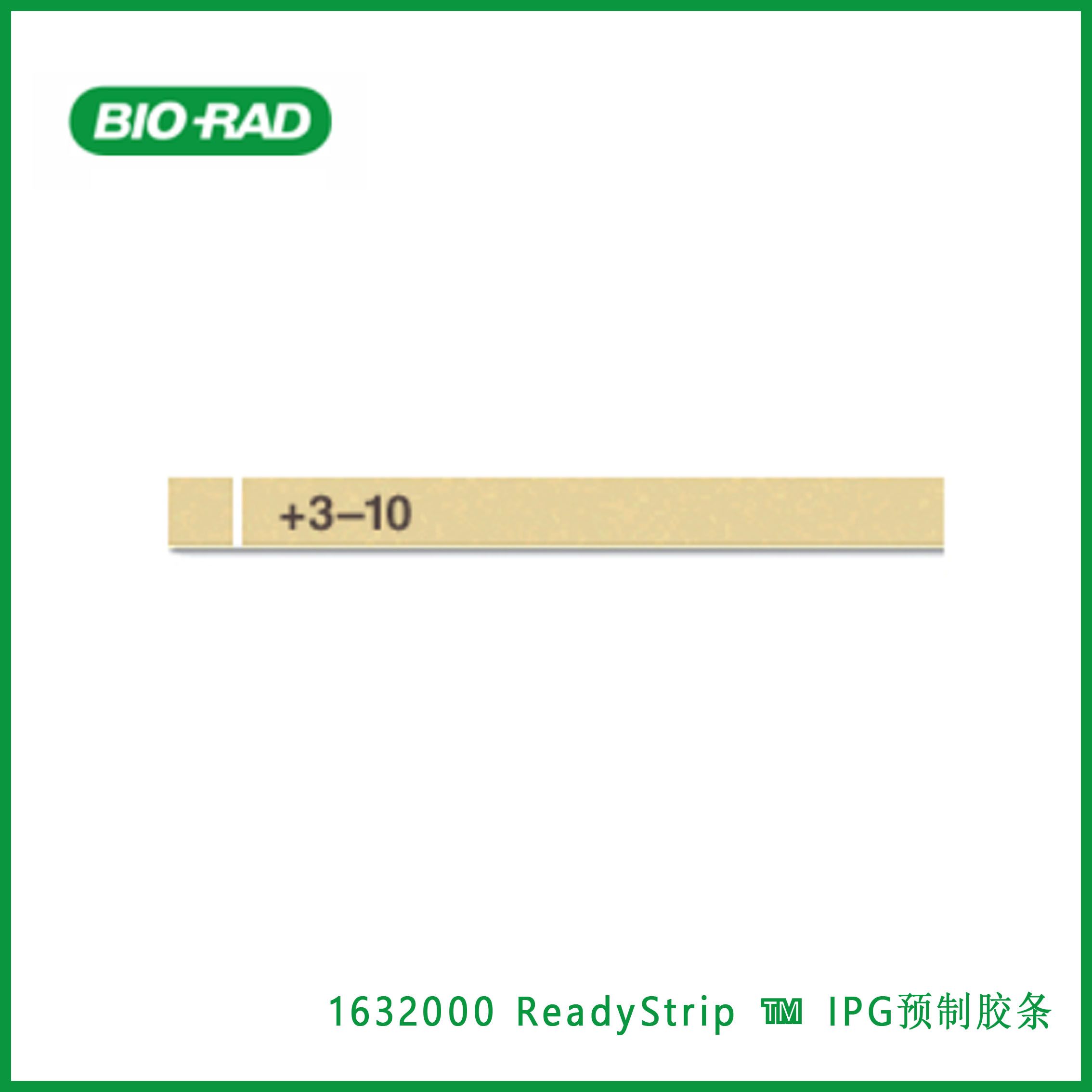 伯乐Bio-Rad1632000 ReadyStrip™ IPG Strips，ReadyStrip ™ IPG预制胶条，现货