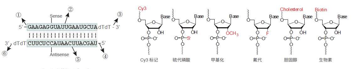 产品细节图片1