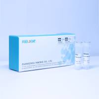 miRNA qRT-PCR标准RNA