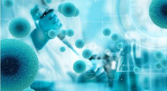 新的干细胞治疗可能有助于逆转与年龄有关的视力丧失