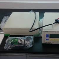 香豆酸(对羟基肉桂酸)含量代测服务