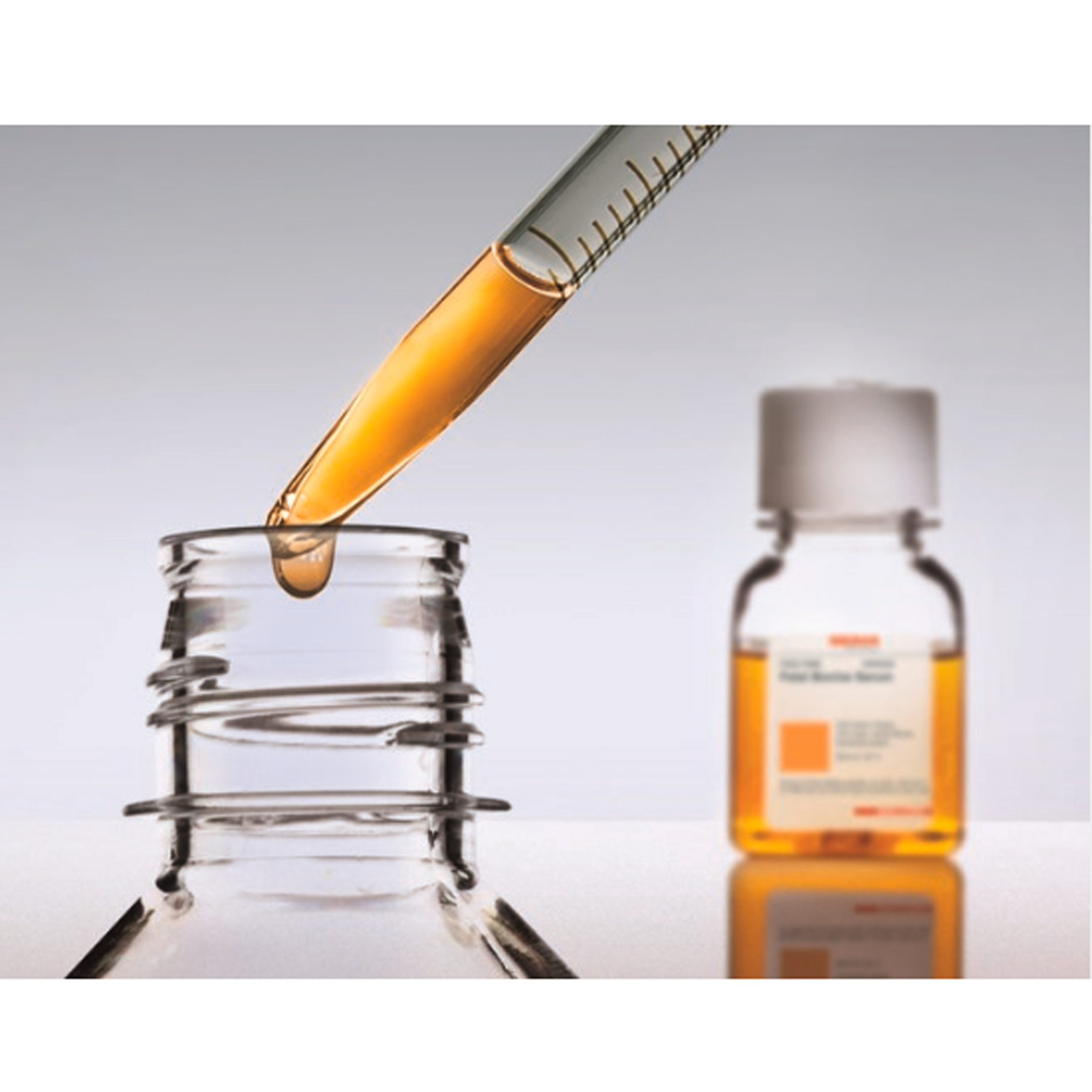 Sigma F8318 Fetal Bovine Serum