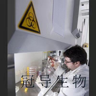 MDA-kb2 Cells;人正常乳腺体外鲜活细胞|STR鉴定图谱