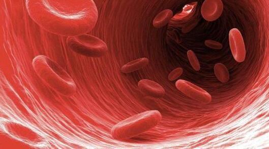 新的血液检查可以检测出一系列遗传性心脏病