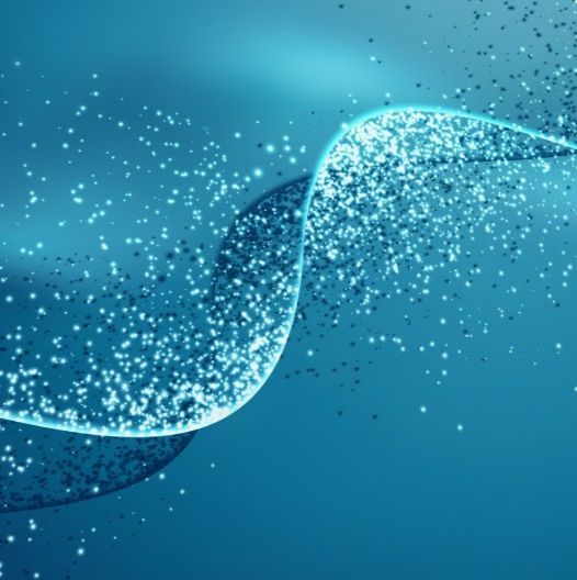 定点突变、定点插入或缺失细胞系定制