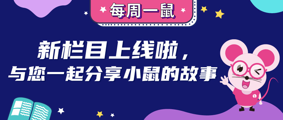 小鼠胆总管结扎致肝纤维化模型