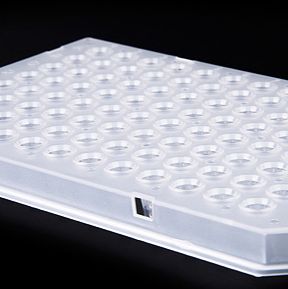 PCR96孔板，适合Bio-Rad CFX96，Roche 480