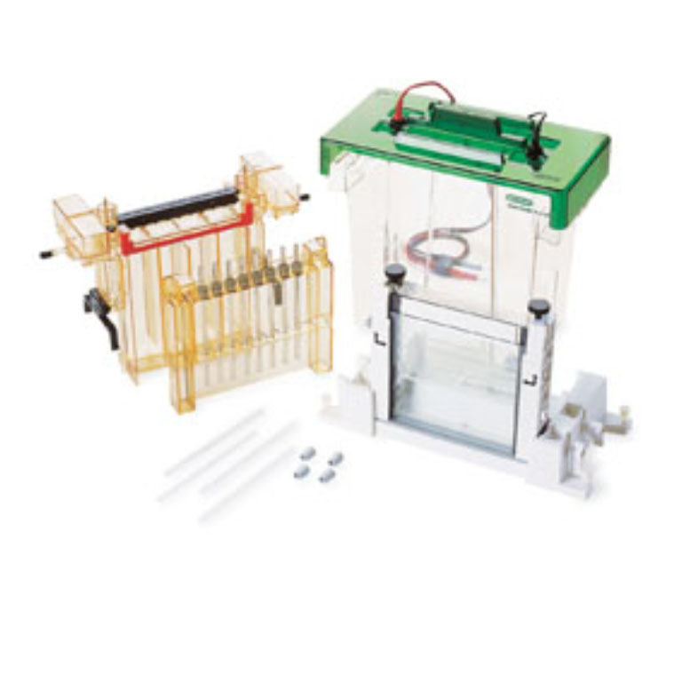 伯乐Bio-Rad1651931PROTEAN II xi 