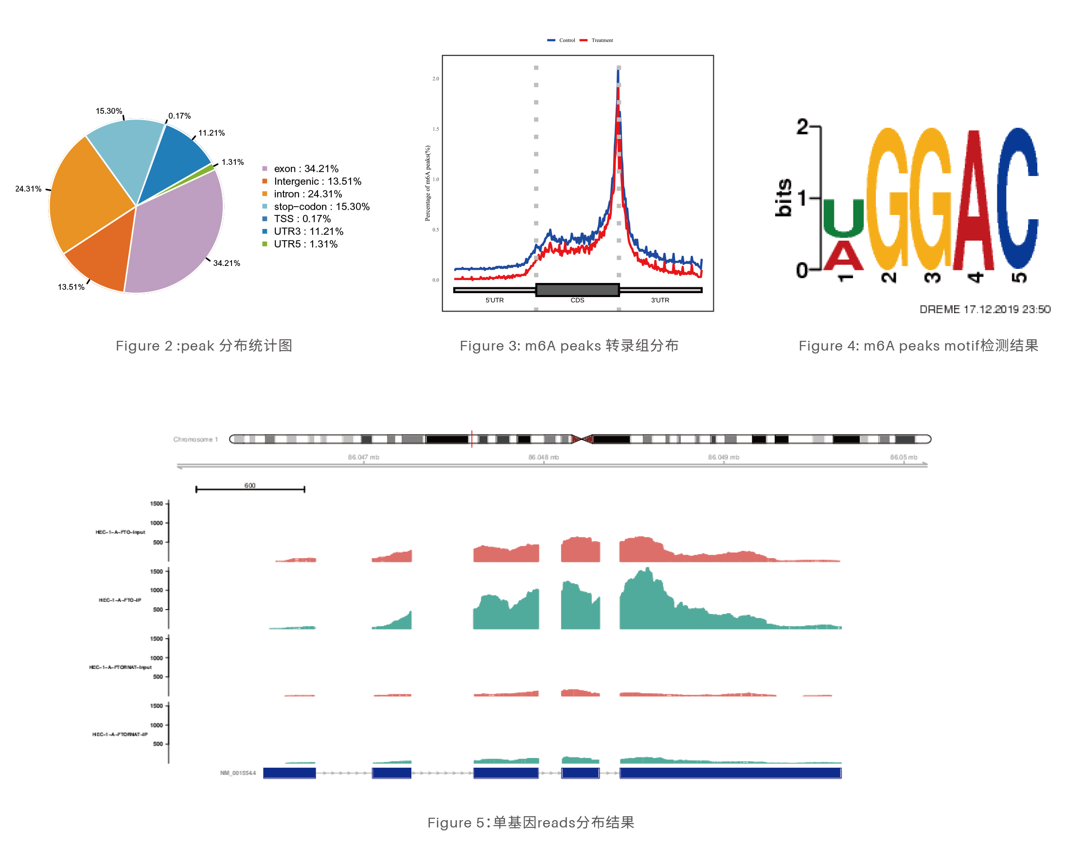 m6A甲基化RNA免疫沉淀试剂盒