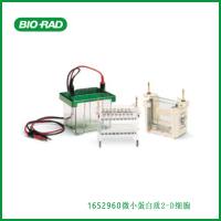 伯乐Bio-Rad1652960Mini-PROTEAN 2-D Cell，微小蛋白质二维细胞,现货