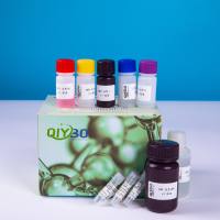 羟自由基（OH）测试试剂盒