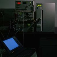 二十二碳六烯酸(DHA)含量试剂盒代测服务