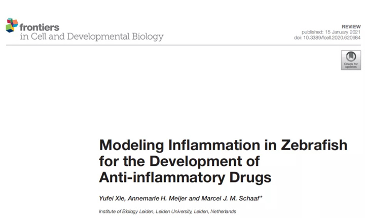 斑马鱼炎症模型的建立及抗炎药物的开发｜国际研究｜环特生物