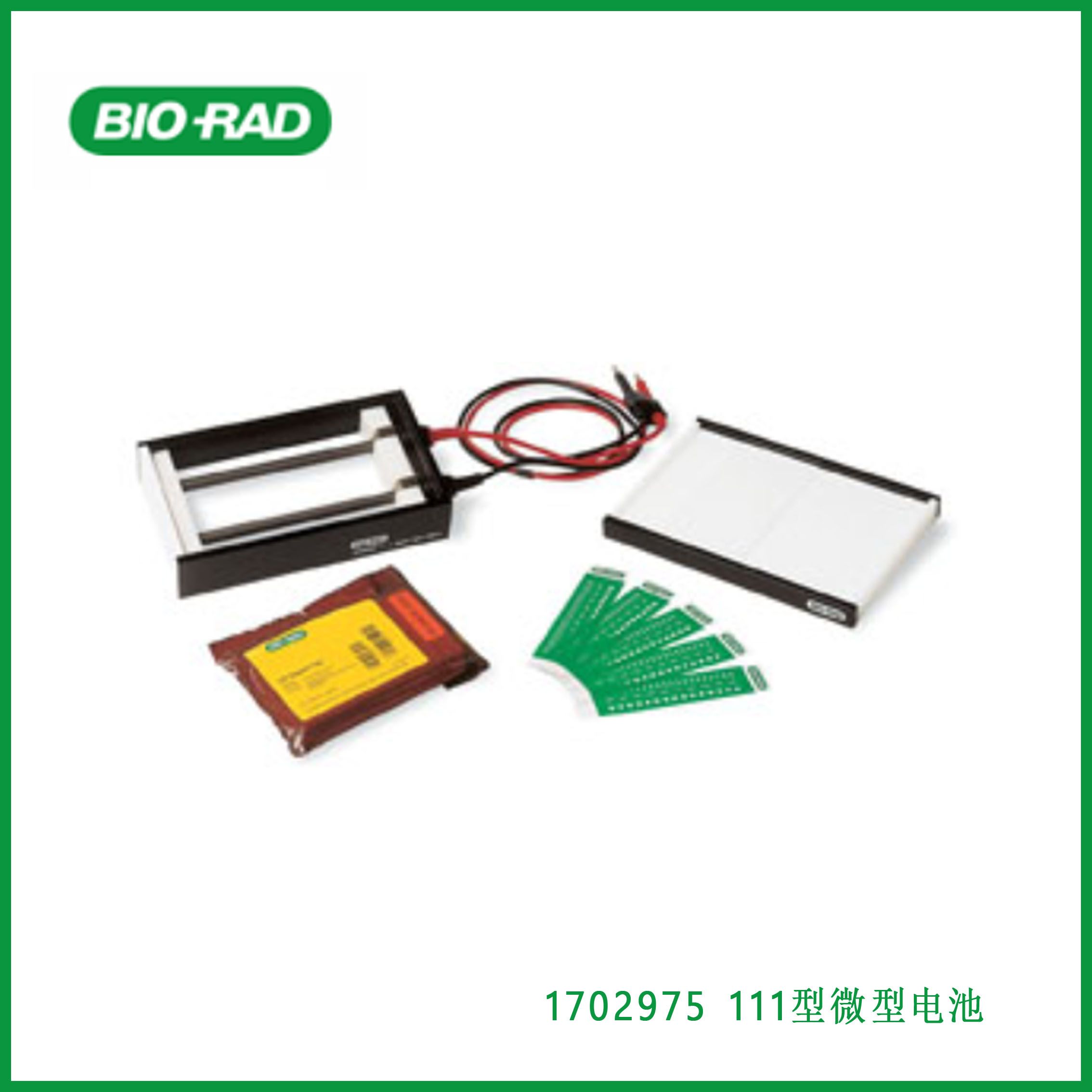 伯乐Bio-Rad1702975Model 111 Mini IEF Cell， 111型微型电池，现货
