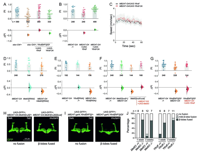 m6A研究进展盘点（20210316）