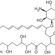 制霉菌素 | 1400-61-9 | 瑞威尔生物科技
