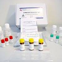 HYPHEN BioMed—BIOPHEN CS-11(65) –Factor Xa发色底物