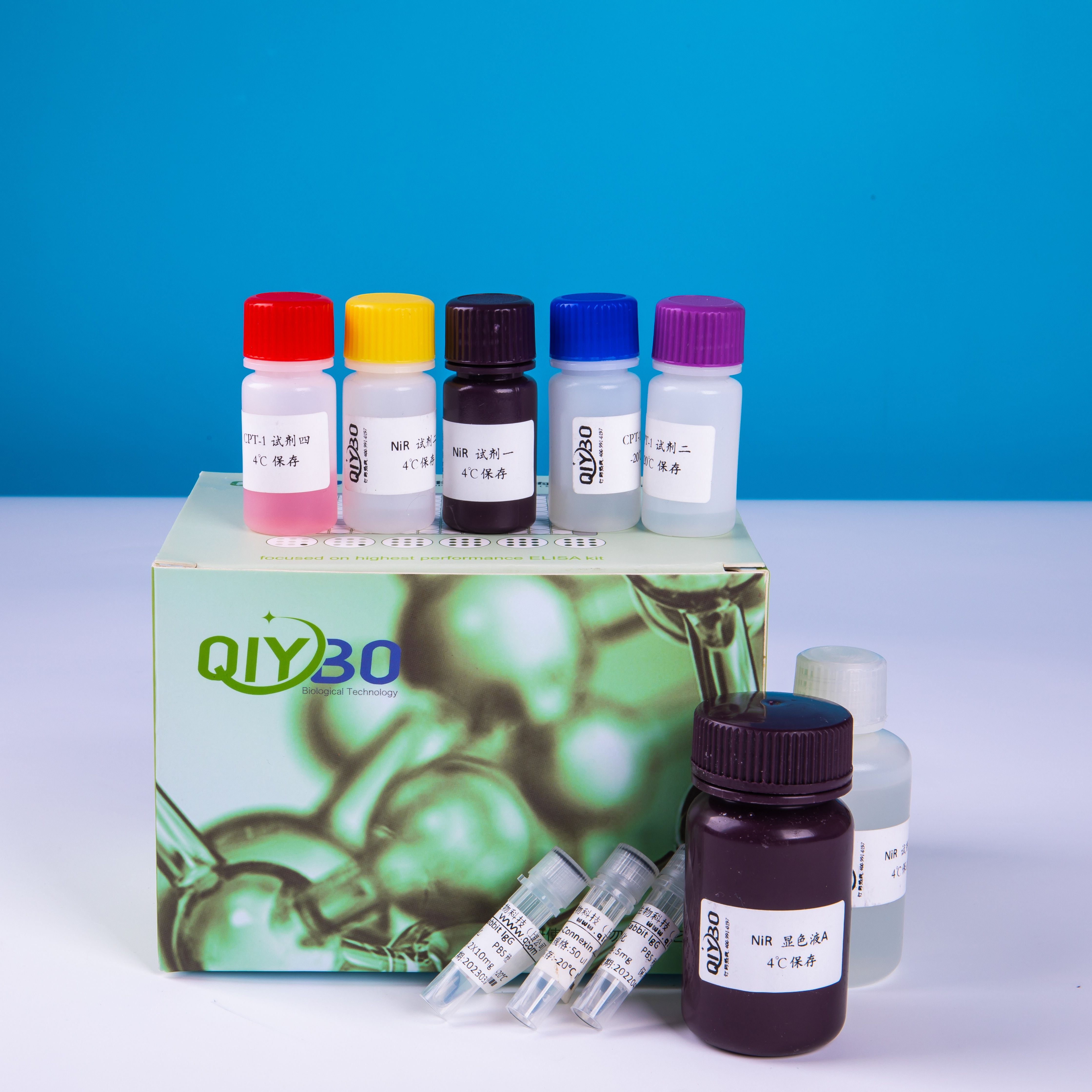 教育性抗体试剂盒-光合作用