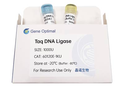 Taq DNA Ligase价格,详情介绍-960化工网 – 960化工网