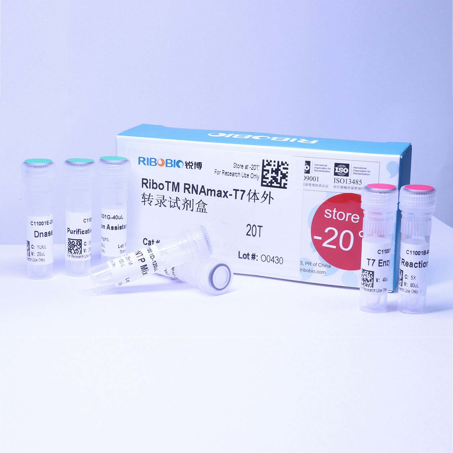 T7生物素标记体外转录试剂盒