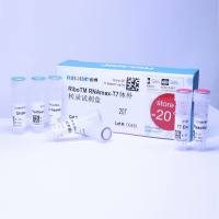 T7生物素标记体外转录试剂盒