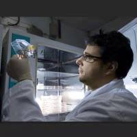 ECC10 Cells;人子宫内膜癌体外鲜活细胞|STR鉴定图谱