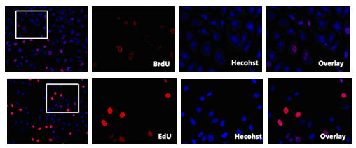 产品细节图片10