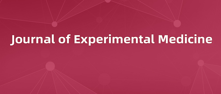 通过小肠上皮细胞（IEC）来调节T细胞分化（IEL）的分子机制