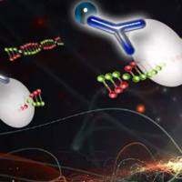 上海Co-IP技术服务