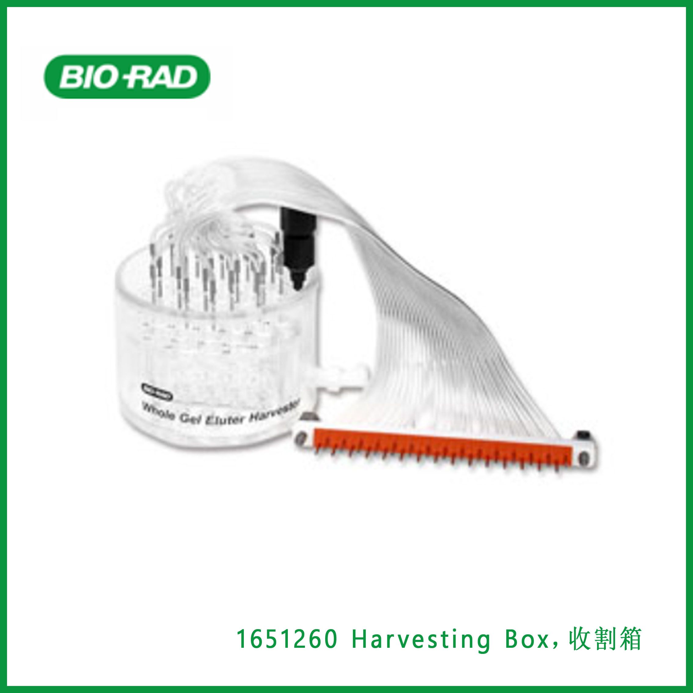 伯乐Bio-Rad1651260Harvesting Box，收割箱，现货