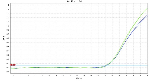 完美匹配各种已存核酸提取体系的磁珠问世啦，工业化量产，价格更优哦！