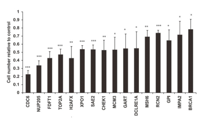 高内涵细胞健康与毒性分析服务