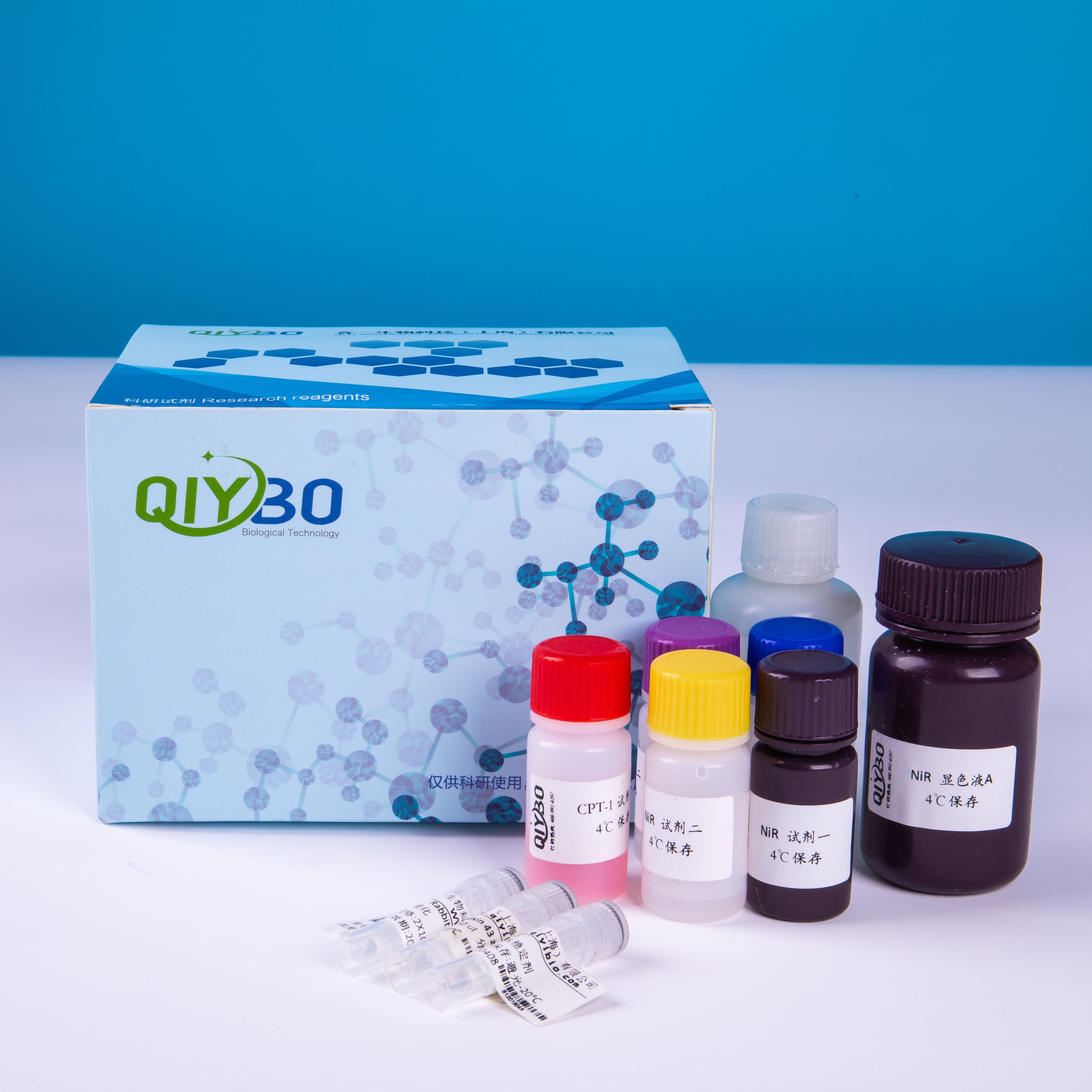 DNA片段检测试剂盒