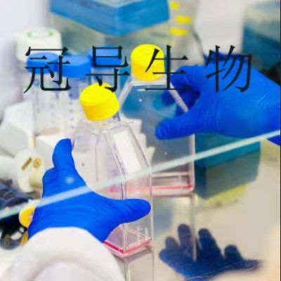 MV3 Cells;人黑色素瘤体外鲜活细胞|STR鉴定图谱
