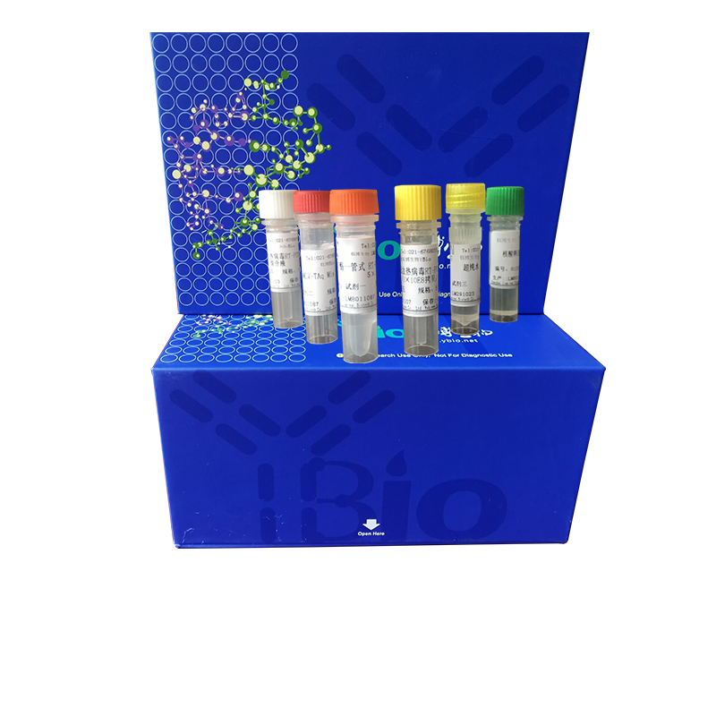白斑综合症病毒套式PCR试剂盒