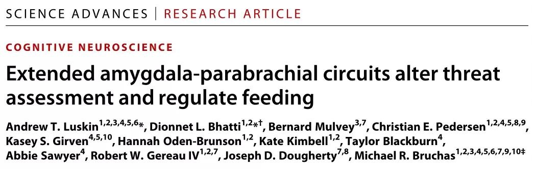 去猎食还是被猎食，一条神经环路抉择的两难《文献解读》BNST-PBN的神经环路改变威胁评估并能调节摄食行为