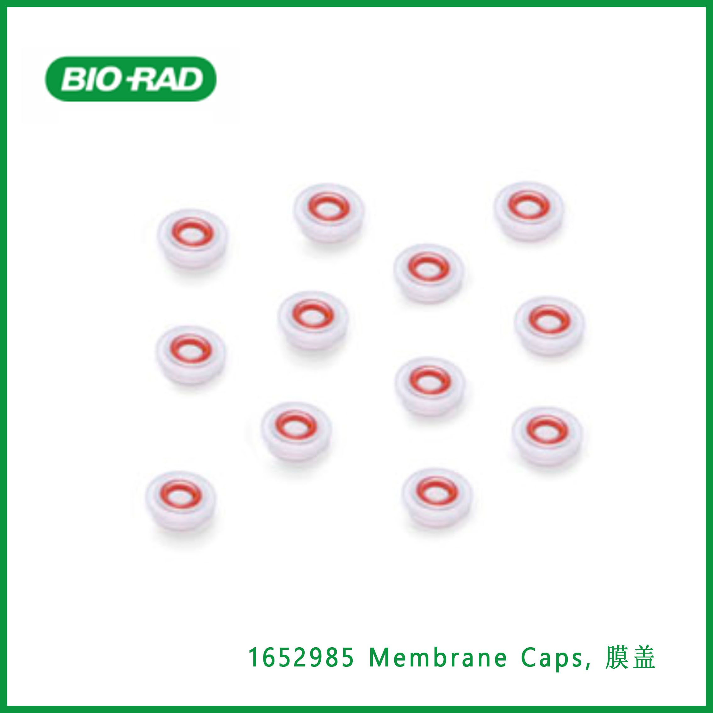 伯乐Bio-Rad1652985 Membrane Caps, 膜盖，现货