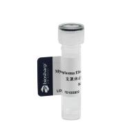 Biosharp  支原体去除试剂 (1000×)