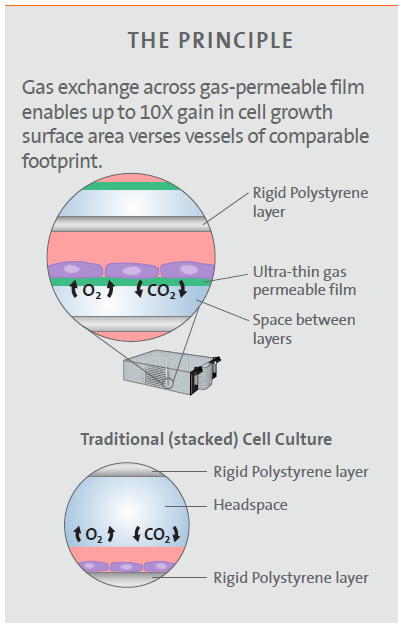 提高慢病毒生产产量的「神助手」