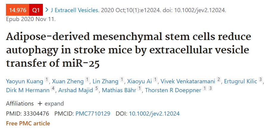 脂肪间充质干细胞通过细胞外囊泡转移miR25减少中风小鼠的自噬