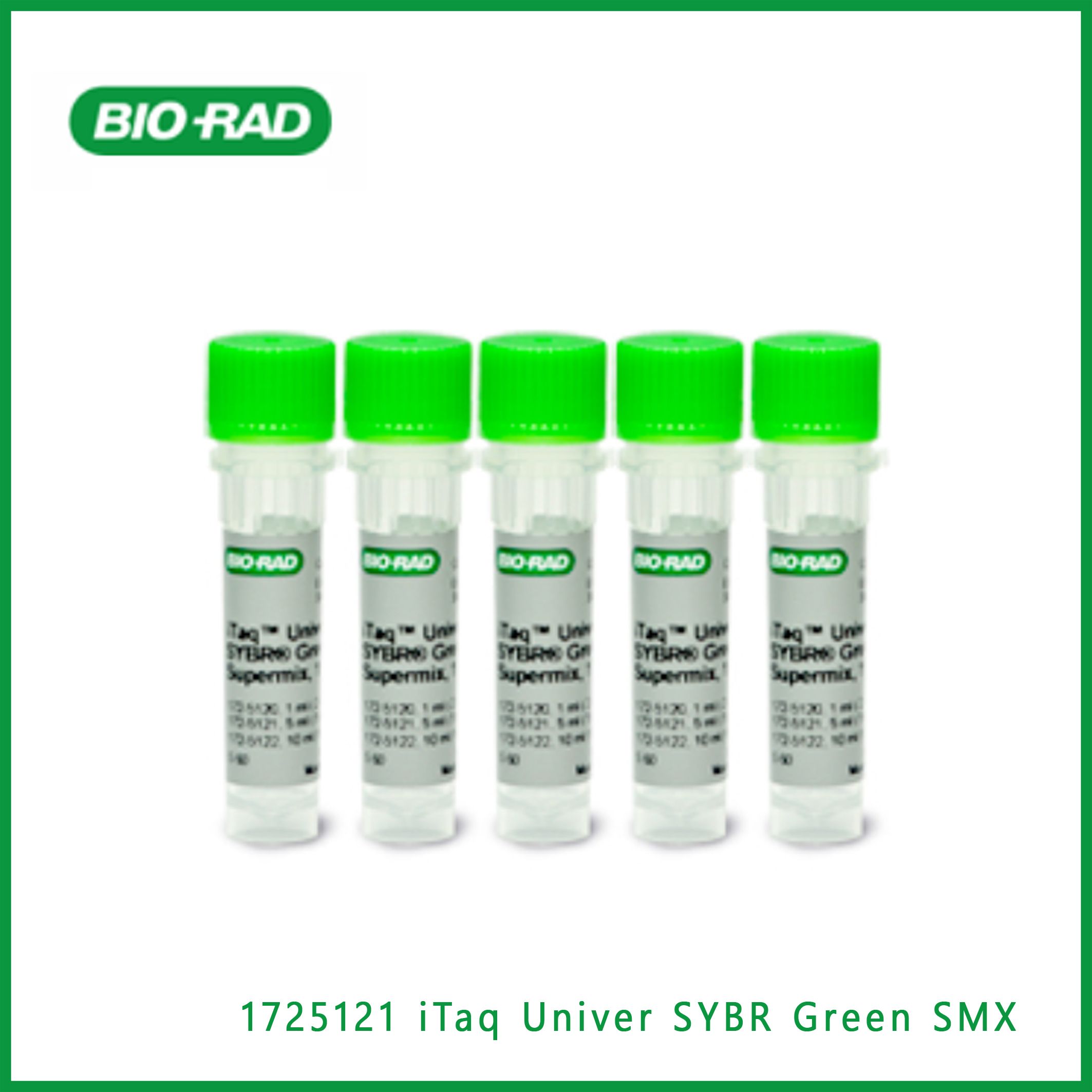 伯乐Bio-Rad1725121iTaq™ Universal SYBR® Green Supermix, 500 x 20 µl rxns, 5 ml (5 x 1 ml)，iTaq™通用SYBR®绿色Supermix，500 x 20µl rxns，5毫升（5 x 1毫升），现货