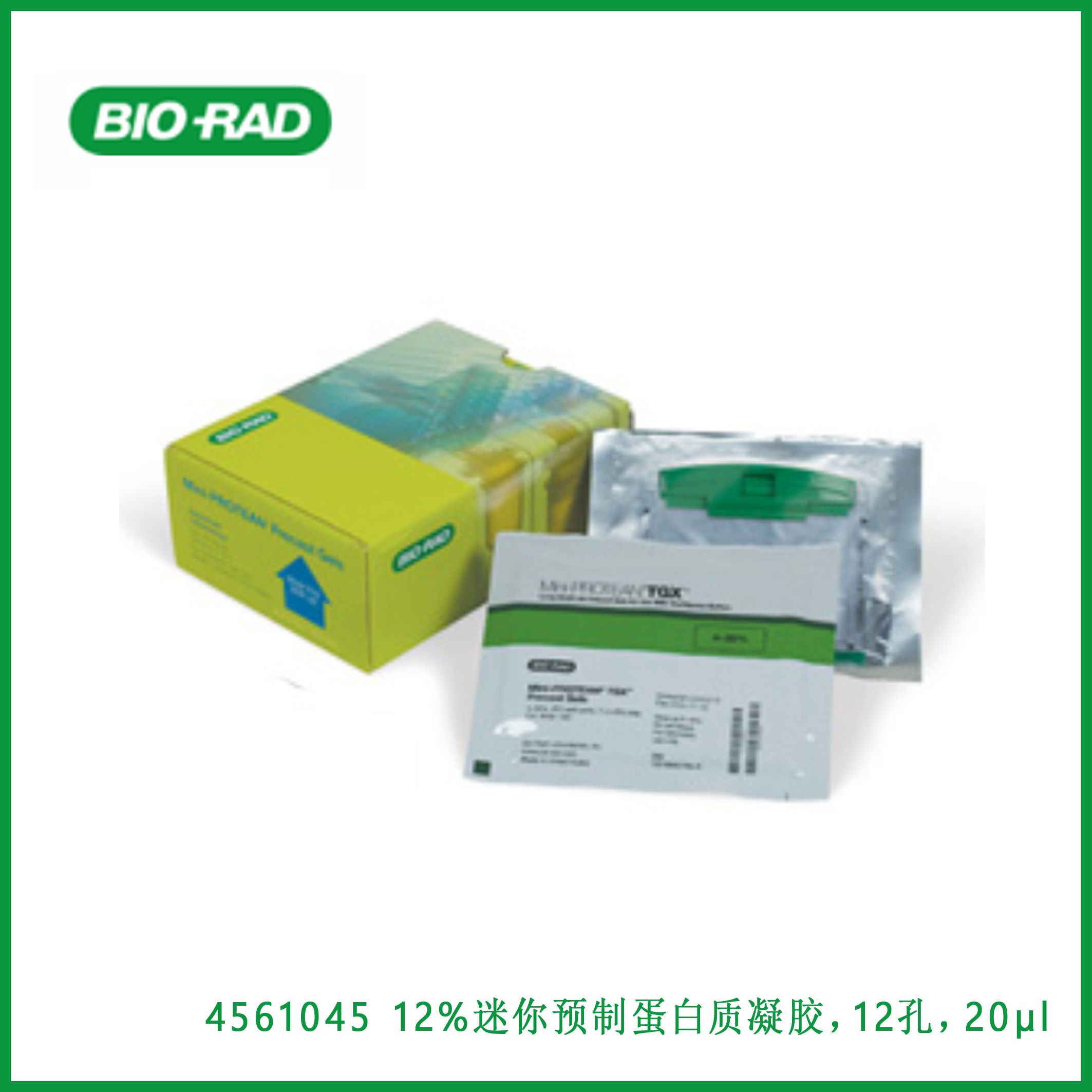 伯乐Bio-Rad456104512% Mini-PROTEAN® TGX™ Precast Protein Gels, 12-well, 20 µl，12%迷你PROTEAN®TGX™ 预制蛋白质凝胶，12孔，20µl，现货