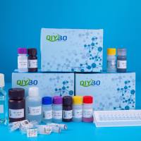 硫氧还蛋白活性荧光测定试剂盒