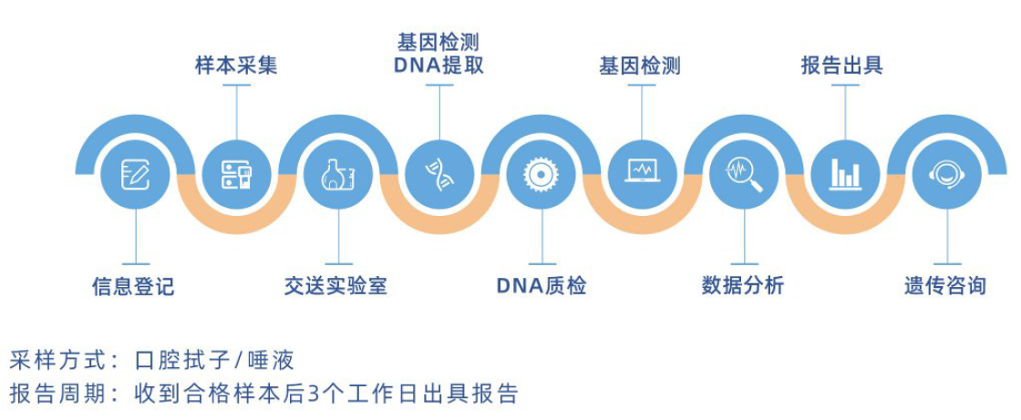 叶酸利用能力基因检测