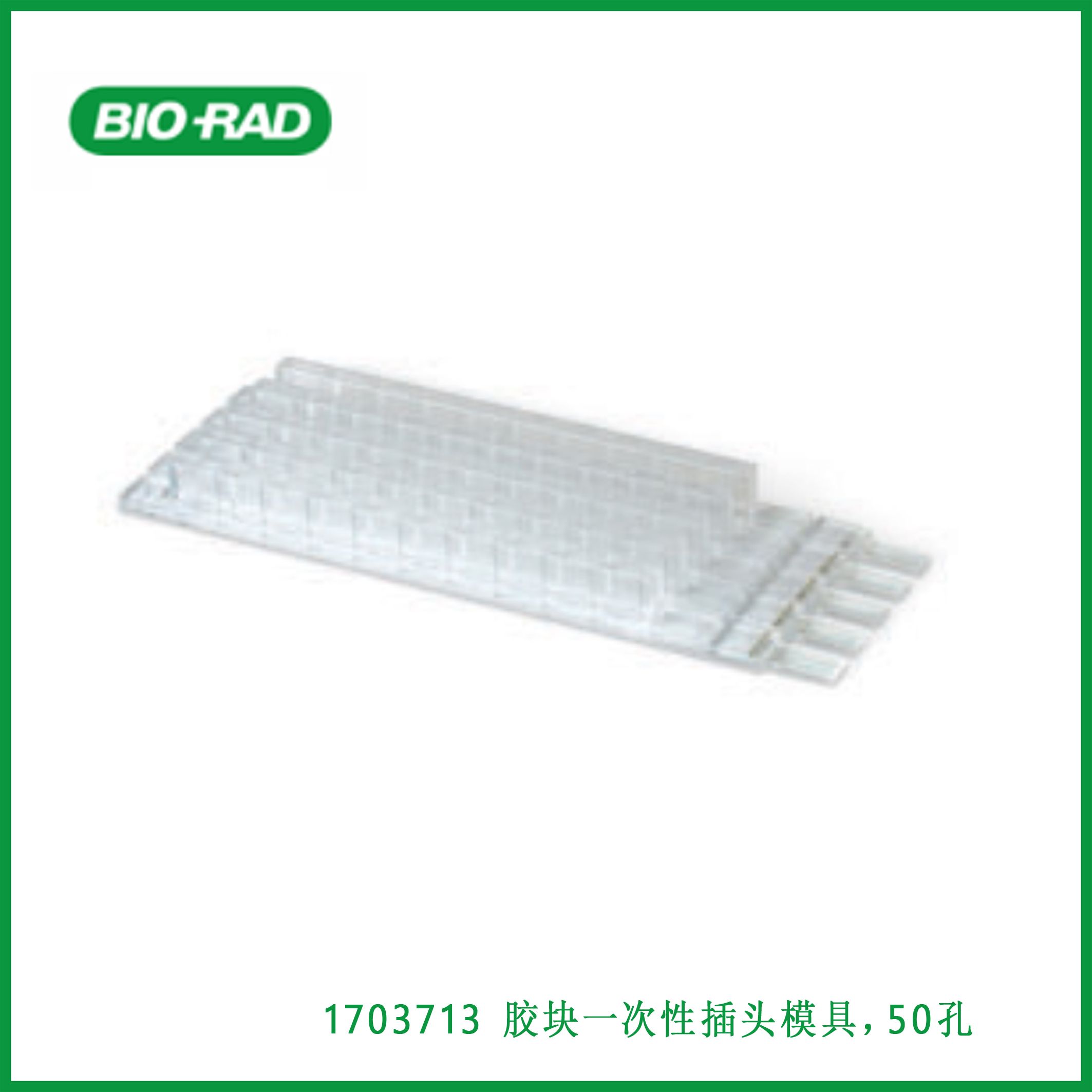 伯乐Bio-Rad1703713CHEF Disposable Plug Molds, 50-Well， ​​​​​​​胶块一次性插头模具，50孔，现货