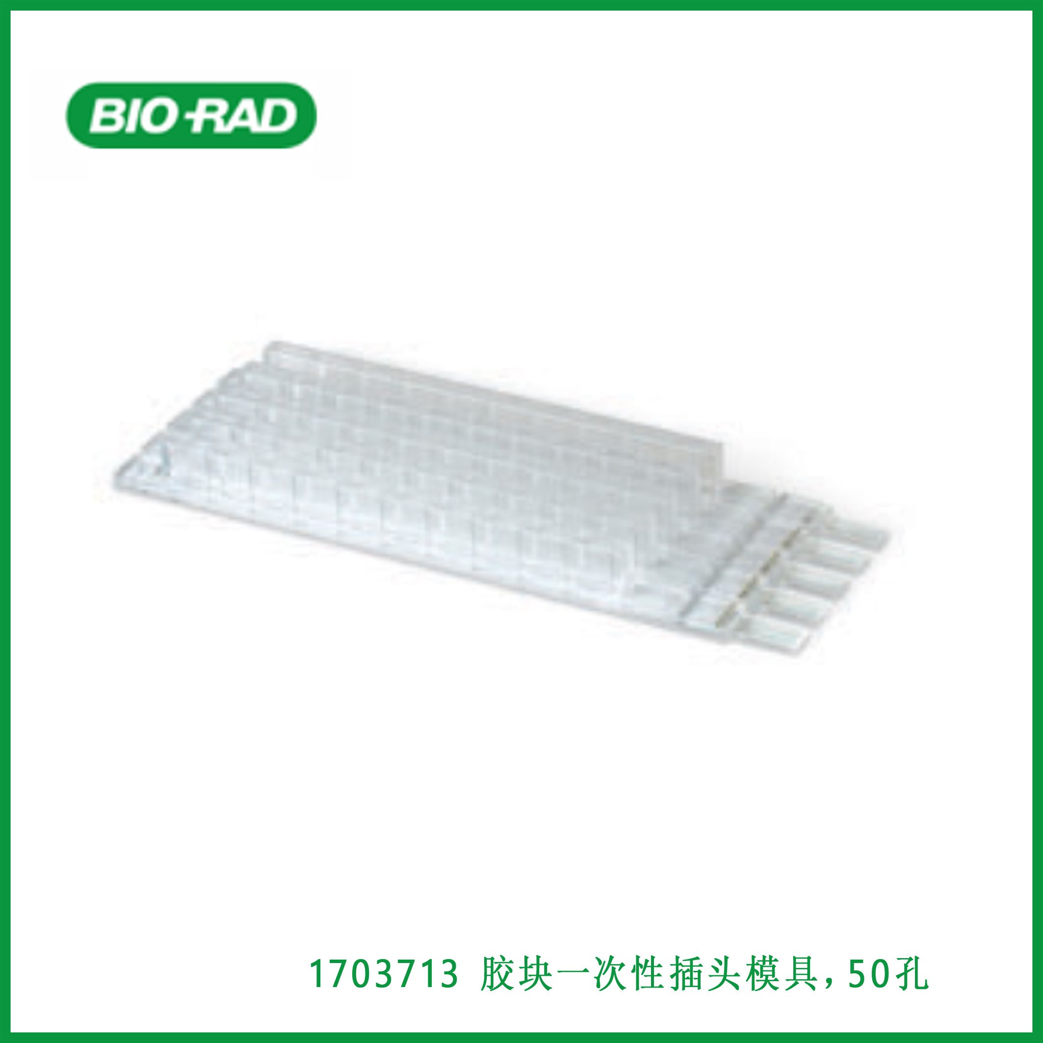伯乐Bio-Rad1703713CHEF Disposable Plug Molds, 50-Well, 胶块一次性插头模具,50孔,现货