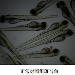 产品封面图
